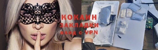 spice Инта