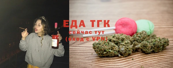 spice Инта