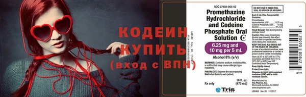 индика Каменногорск