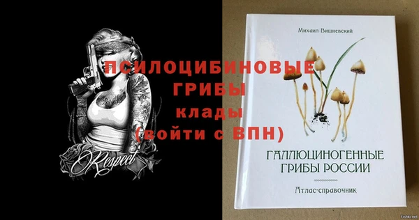 хмурый Иннополис