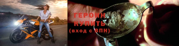 индика Каменногорск