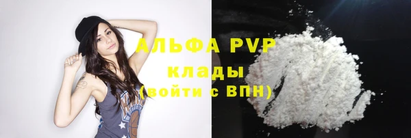 spice Инта