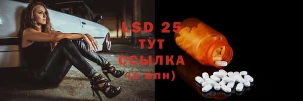 spice Инта