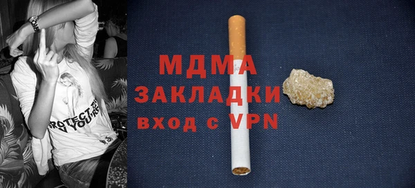 spice Инта