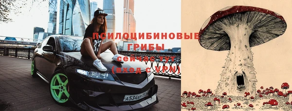 хмурый Иннополис