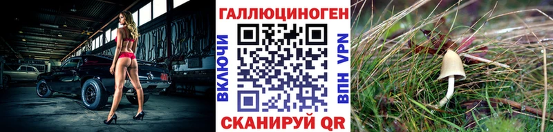 Купить  Сарапул  Псилоцибиновые грибы прущие грибы 